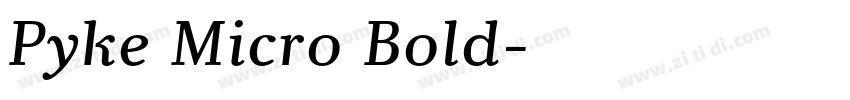 Pyke Micro Bold字体转换 Pyke Micro Bold字体转换